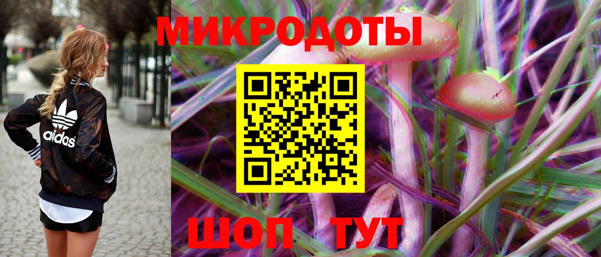 Коммунар  Псилоцибиновые грибы GOLDEN TEACHER  Вход с VPN 